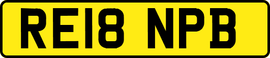 RE18NPB