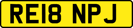 RE18NPJ