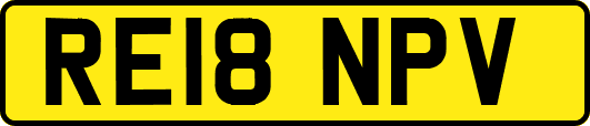RE18NPV