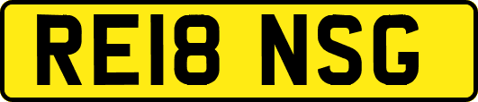 RE18NSG