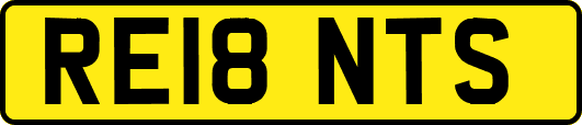 RE18NTS