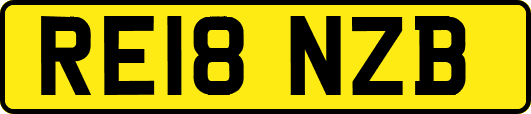RE18NZB