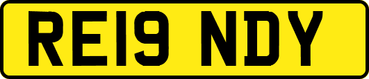 RE19NDY