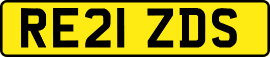 RE21ZDS