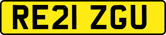 RE21ZGU