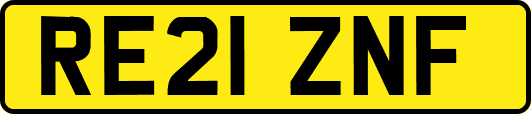 RE21ZNF