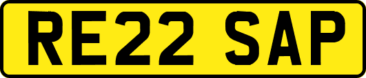 RE22SAP