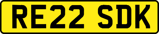 RE22SDK