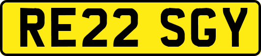 RE22SGY