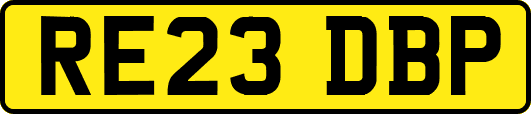 RE23DBP