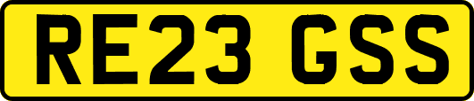 RE23GSS