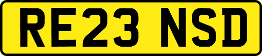 RE23NSD