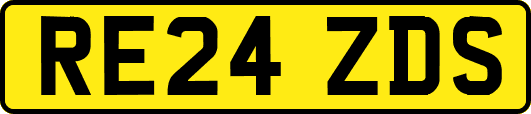 RE24ZDS