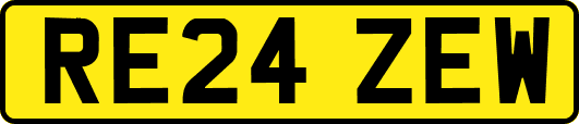 RE24ZEW
