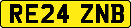RE24ZNB