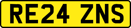 RE24ZNS