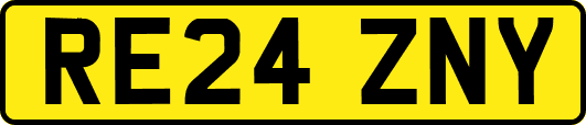 RE24ZNY