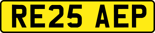 RE25AEP