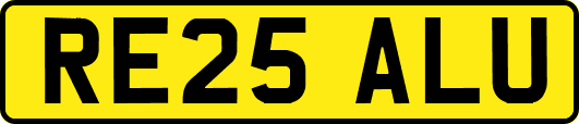 RE25ALU