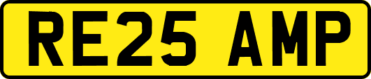 RE25AMP