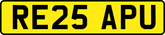 RE25APU