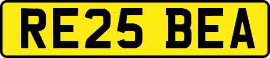 RE25BEA