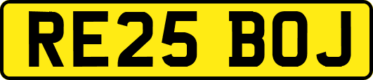 RE25BOJ
