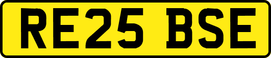 RE25BSE