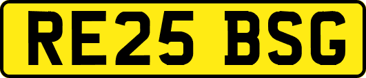 RE25BSG