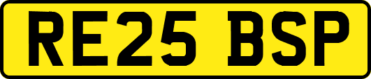 RE25BSP