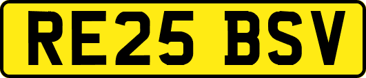 RE25BSV