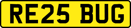 RE25BUG