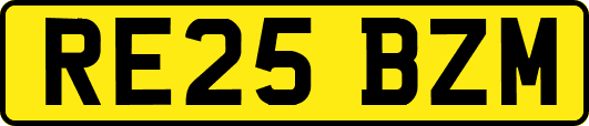 RE25BZM