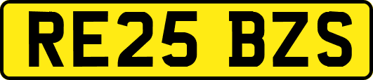 RE25BZS