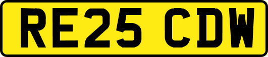 RE25CDW