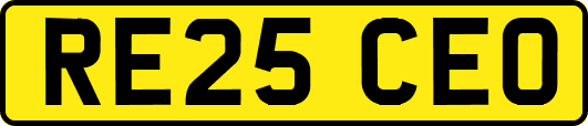 RE25CEO