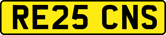 RE25CNS