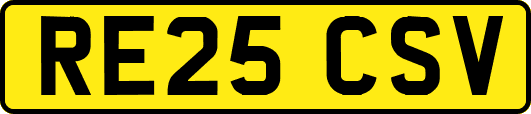 RE25CSV