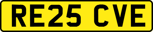 RE25CVE