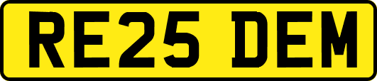 RE25DEM