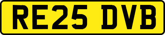 RE25DVB