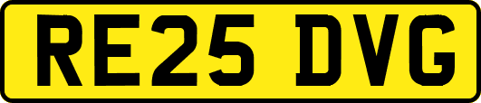 RE25DVG