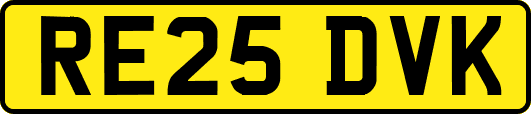 RE25DVK