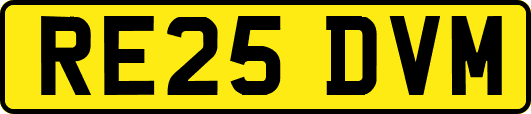 RE25DVM