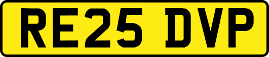RE25DVP
