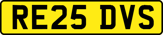 RE25DVS