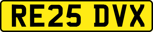 RE25DVX