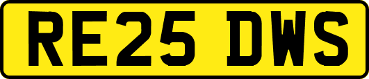 RE25DWS