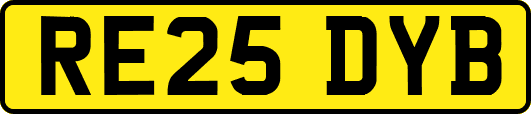RE25DYB