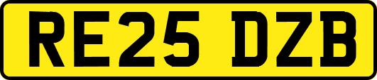 RE25DZB